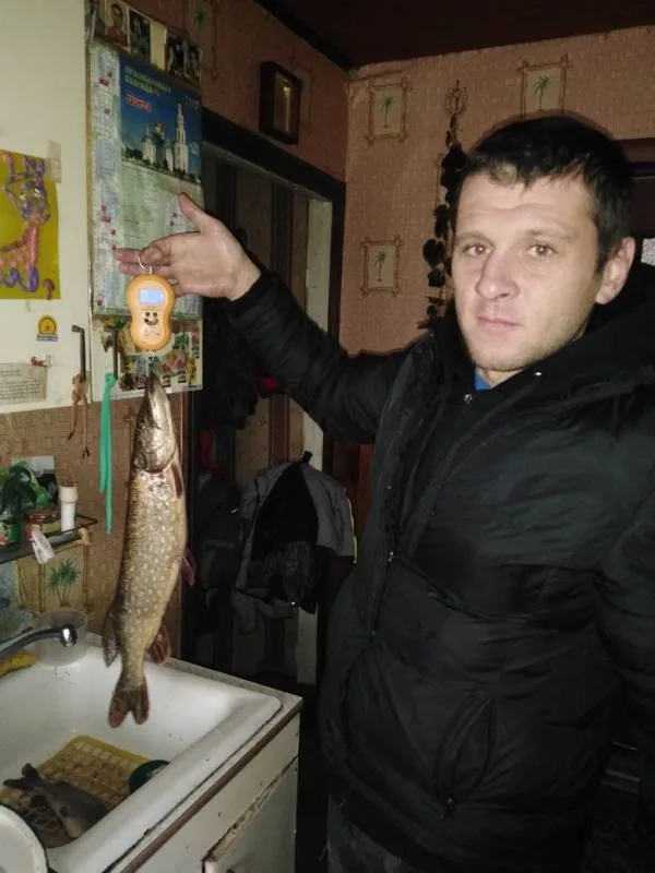 Щука