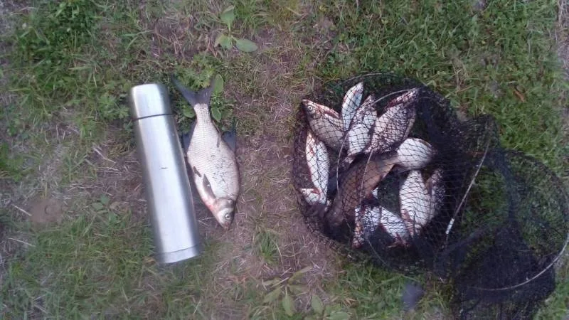 Лещ