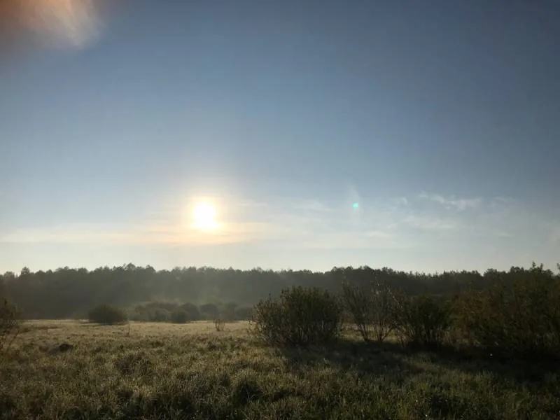 Окунь