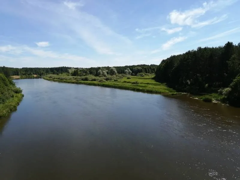 Голавль