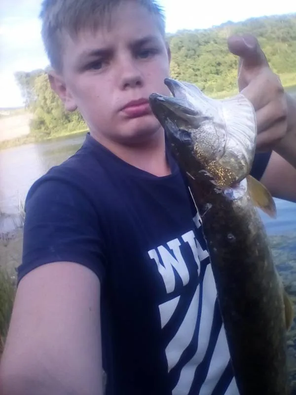 Щука