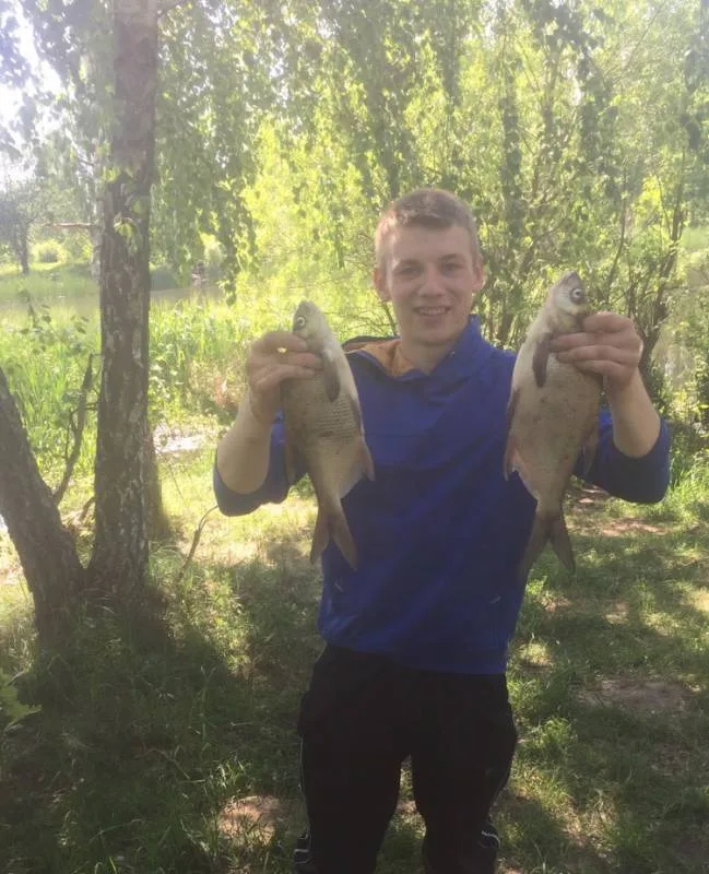 Лещ, Линь