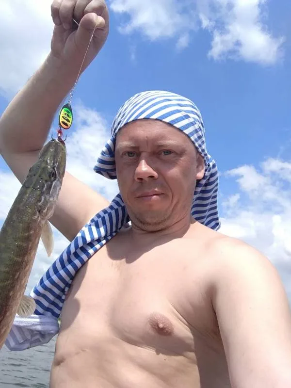 Окунь, Щука