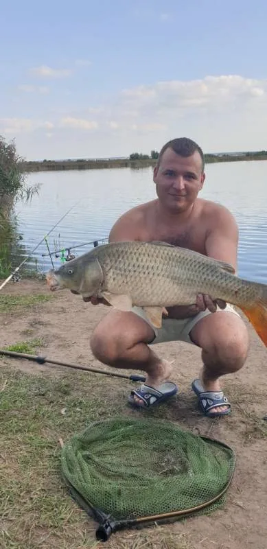 Карп