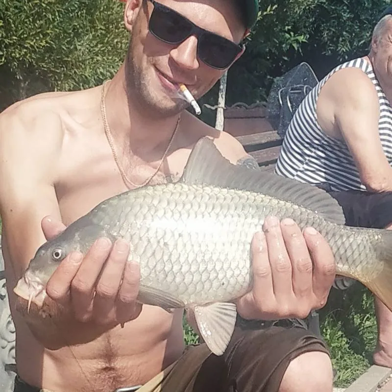 Карп