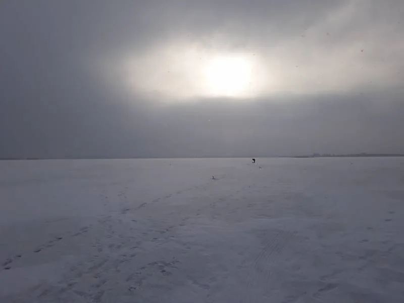 Окунь