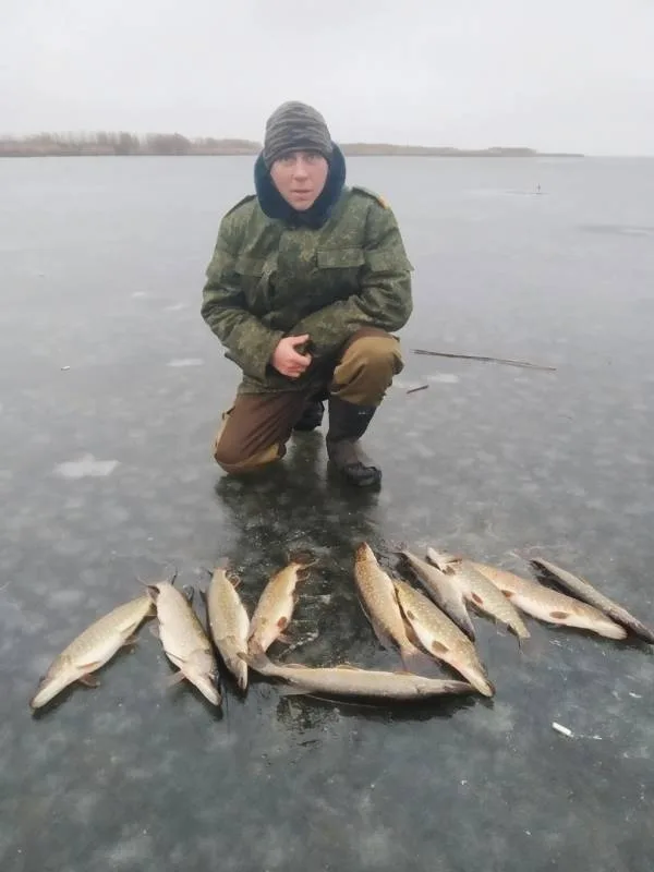 Щука