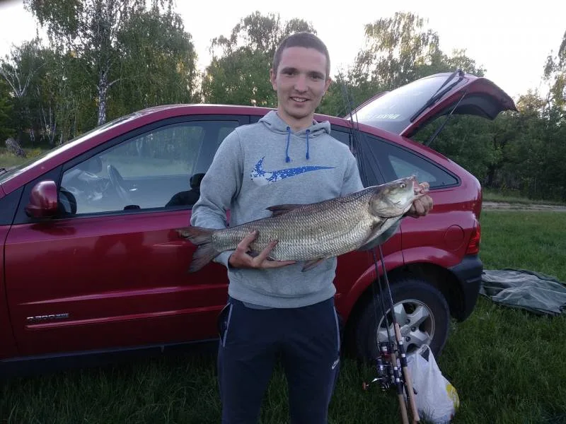 Жерех