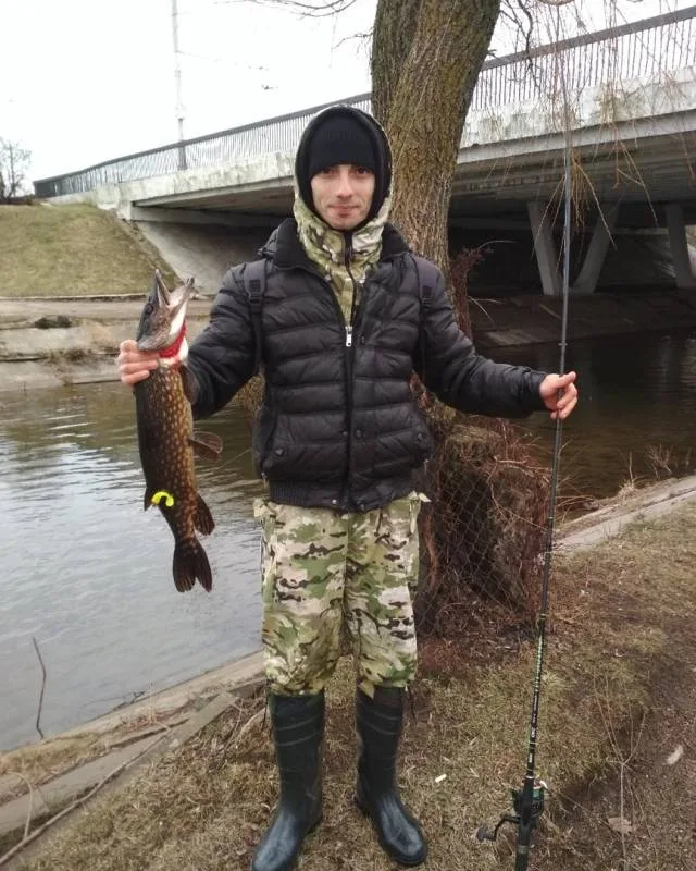 Щука