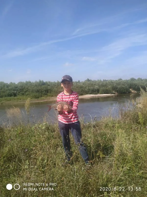 Лещ, Голавль