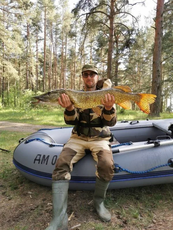 Щука