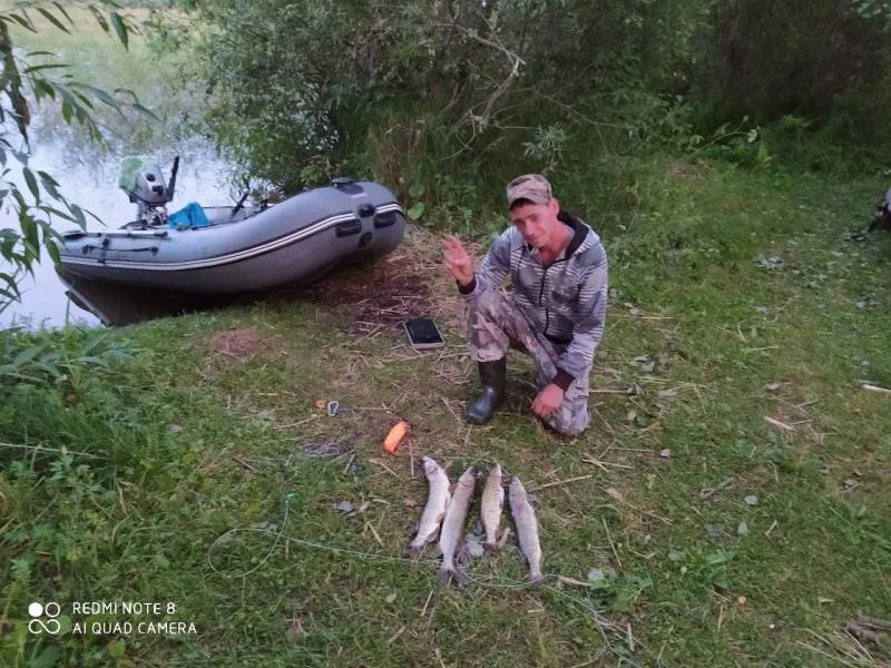Щука