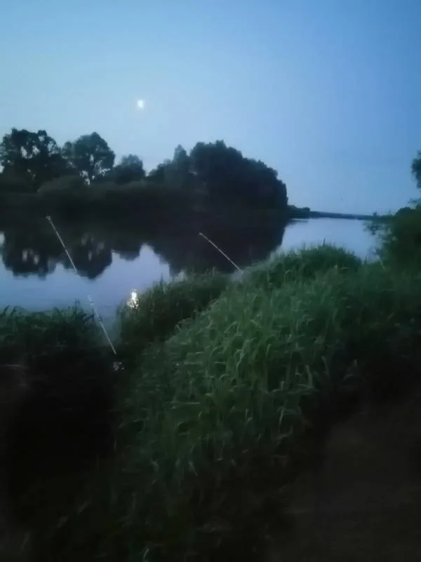 Лещ