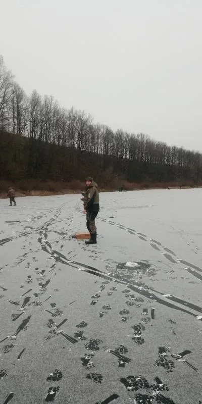 Лещ, Окунь
