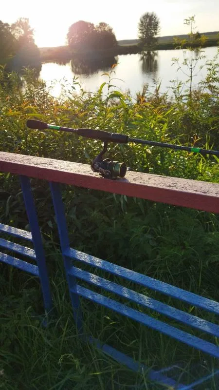 Окунь