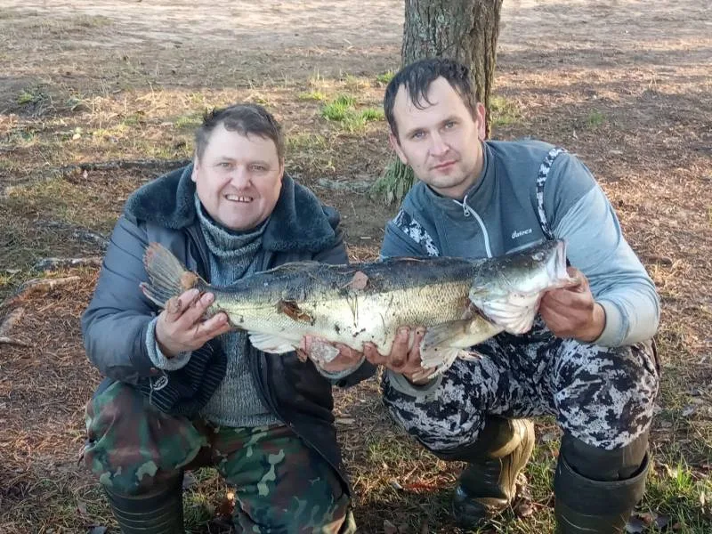 Судак
