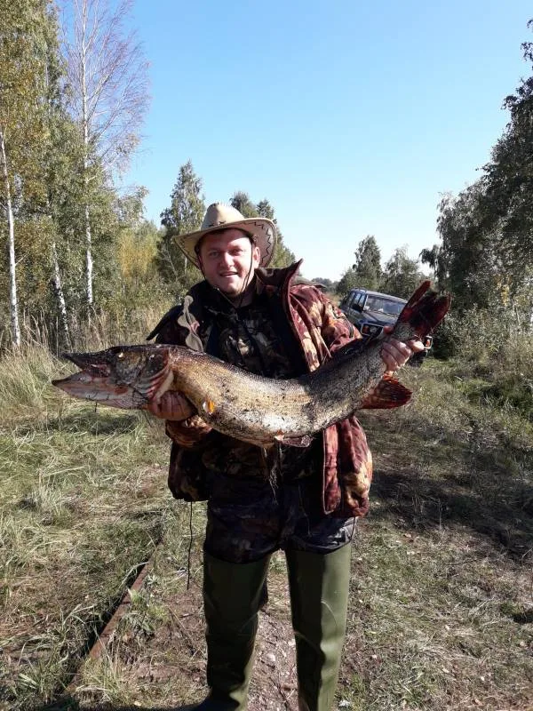 Щука