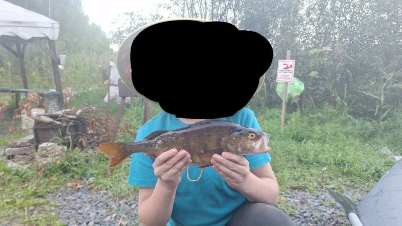 Окунь