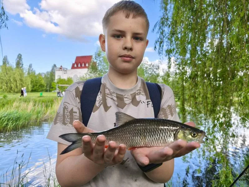 Голавль