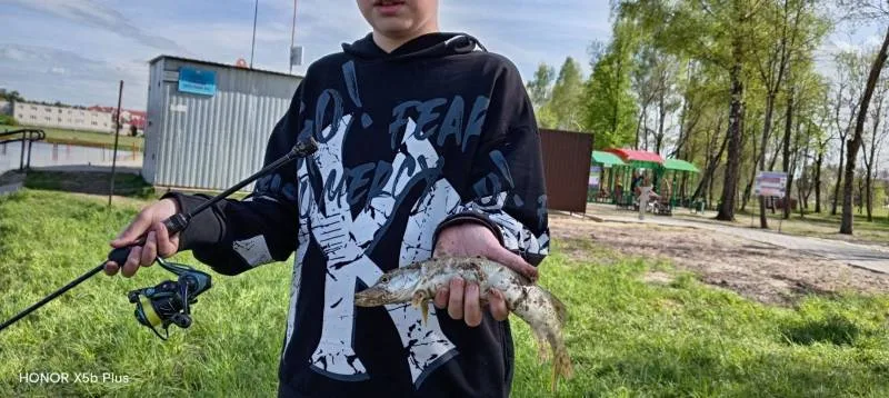 Окунь, Щука