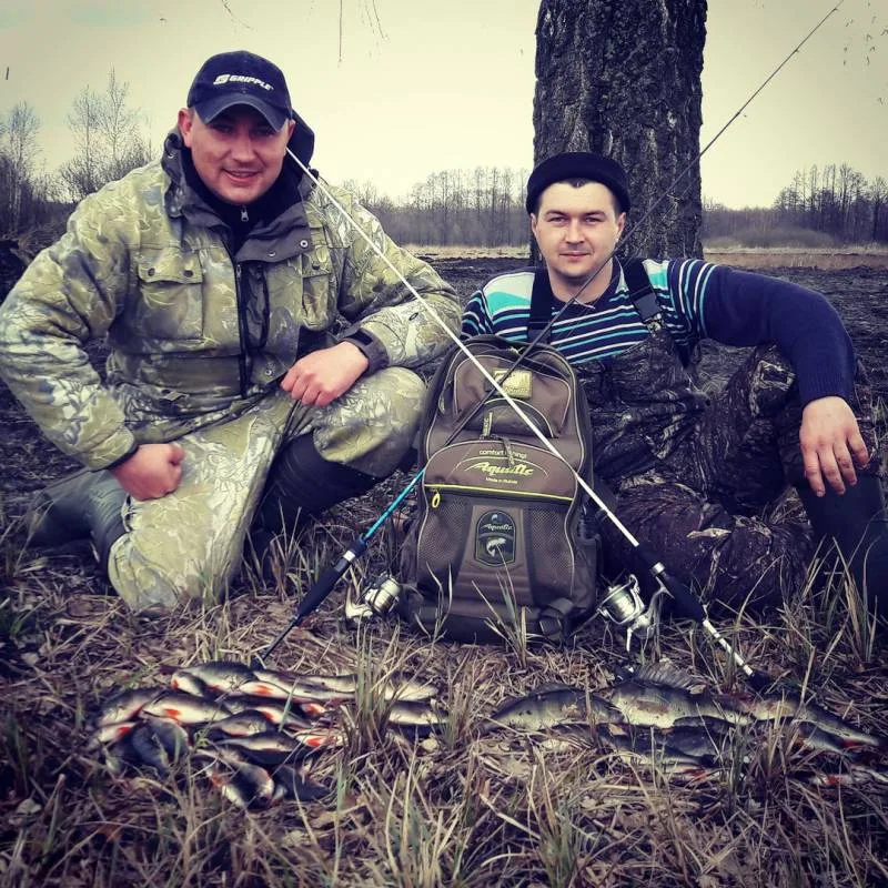 Окунь