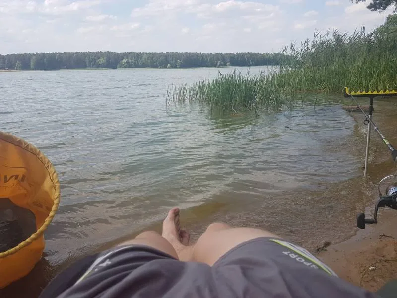 Лещ, Окунь
