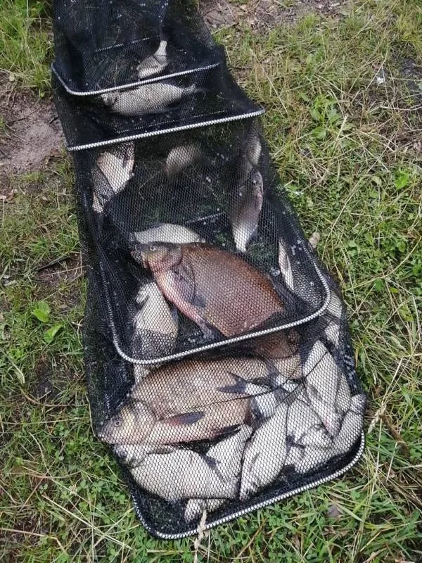 Лещ