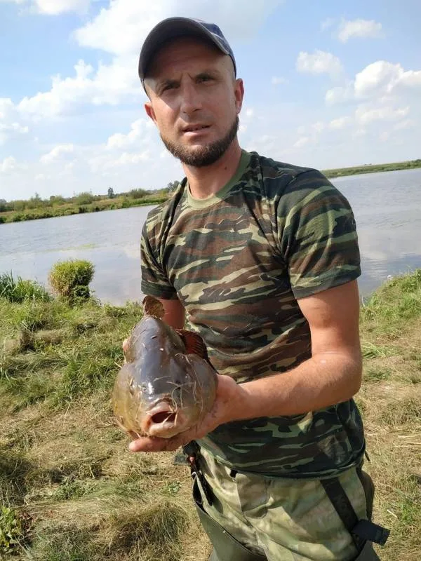 Лещ, Линь