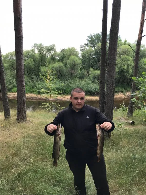 Щука